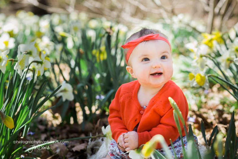 baby laughing in the daffodils at Sayen Gardens