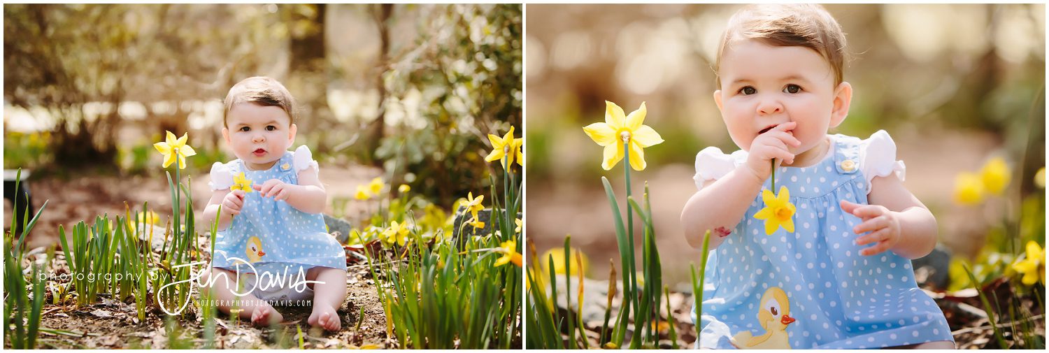 7 month old baby girl in daffodil garden