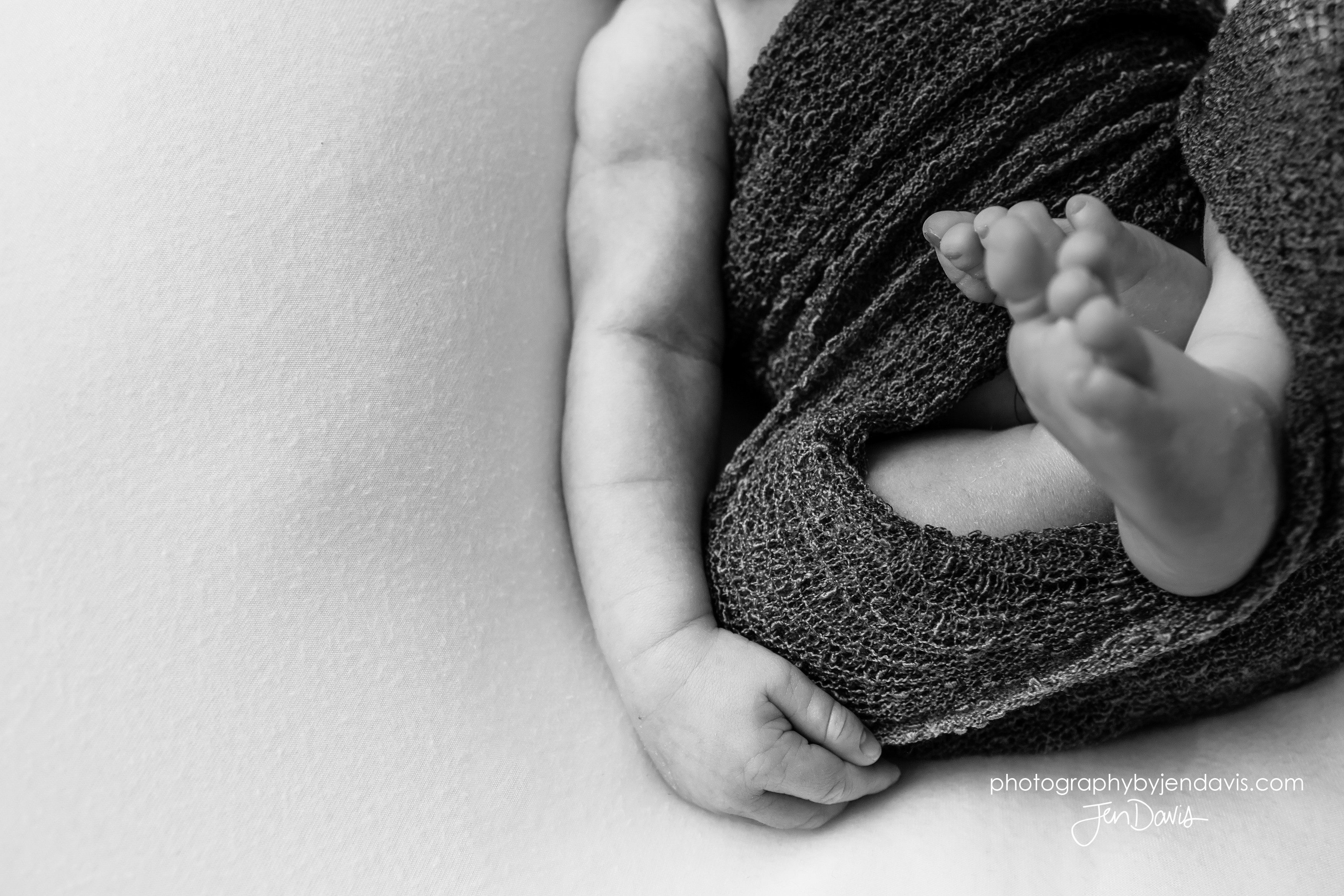 black and white image of newborn hands
