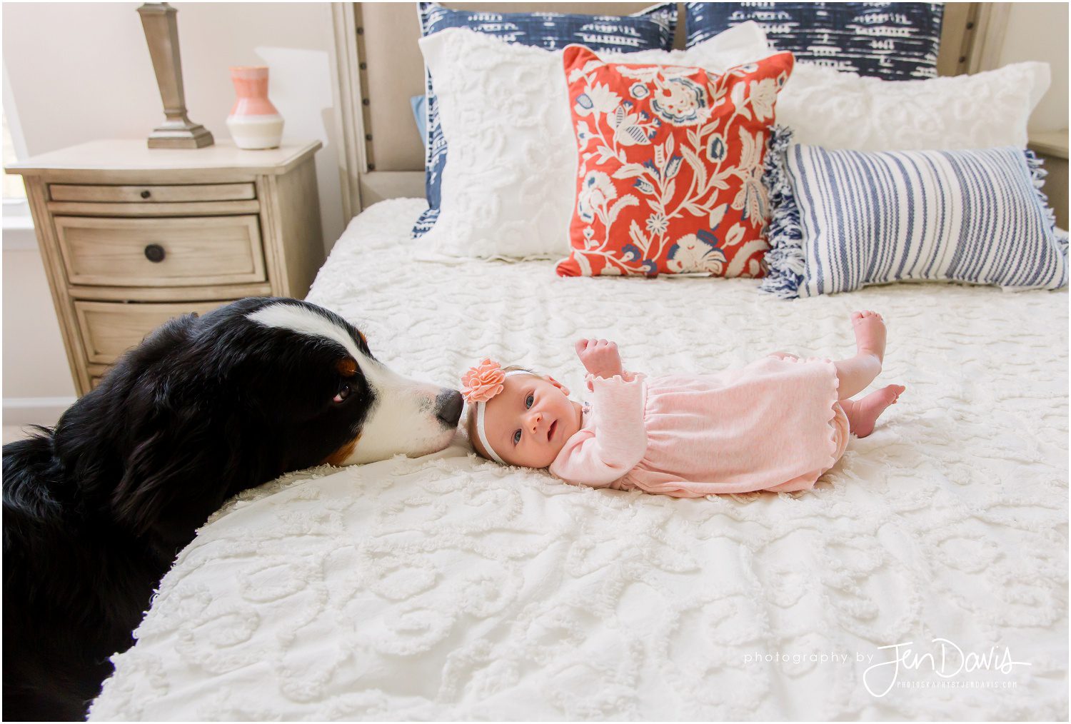 Pets are more than welcome in your newborn lifestyle sessions with Jen.